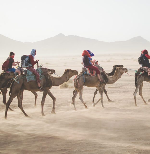 Adventure In Morocco & Camel Trekking In The Desert