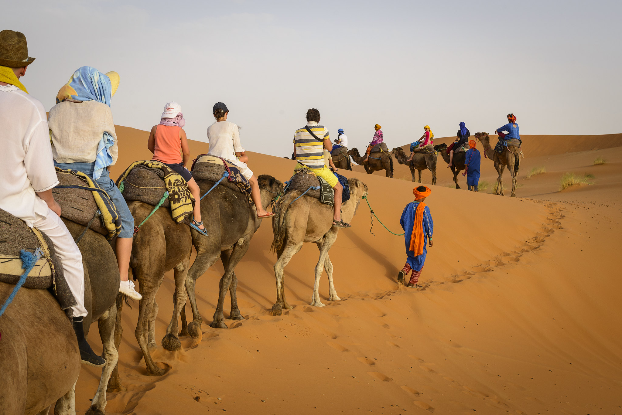 Camel Trekking In Morocco