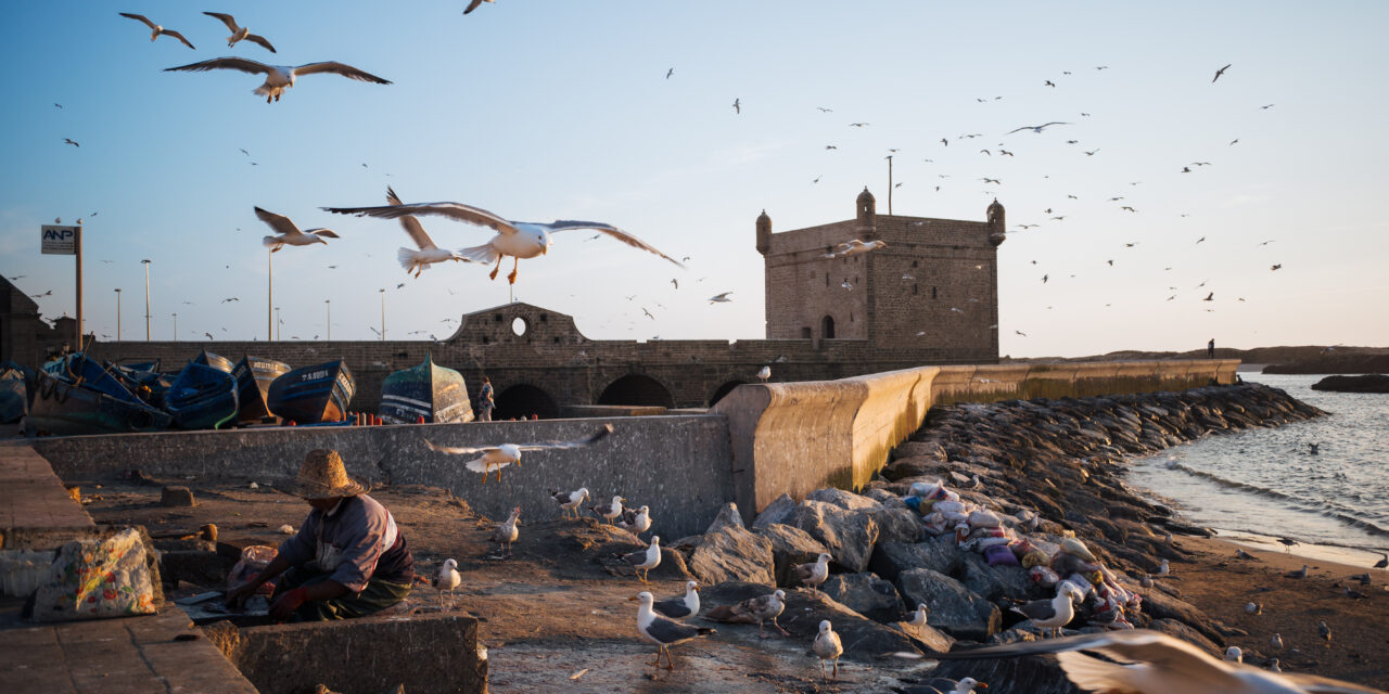 Day Trip To Essaouira