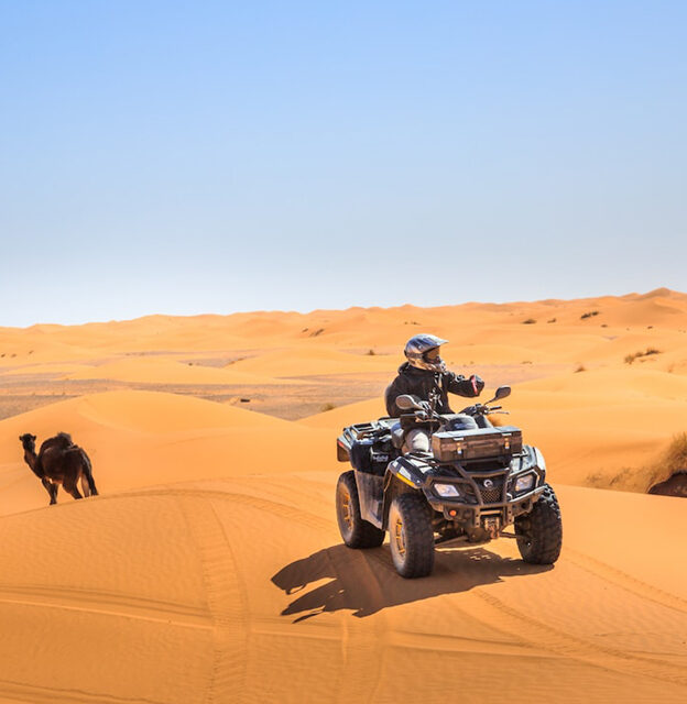 Camel Trekking in the Atlantic and Draa Valleys