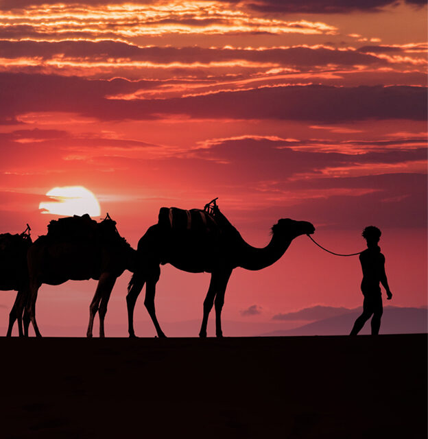 10 days of hiking and camel trekking in the Merzouga Desert