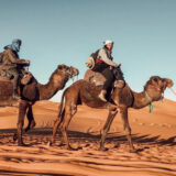 Tour of the Moroccan Imperial Cities and the Desert showcasing historical sites and desert landscapes.