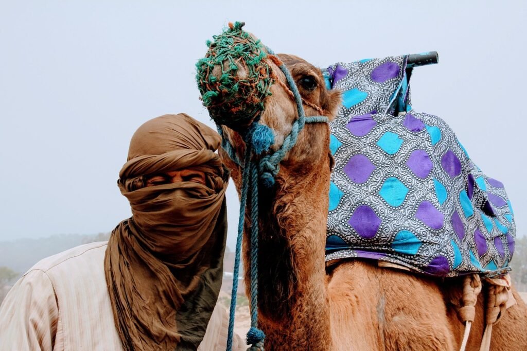 3-Day Private Marrakech to Merzouga Desert Tour | Sahara, Gorges & High Atlas – photo 2